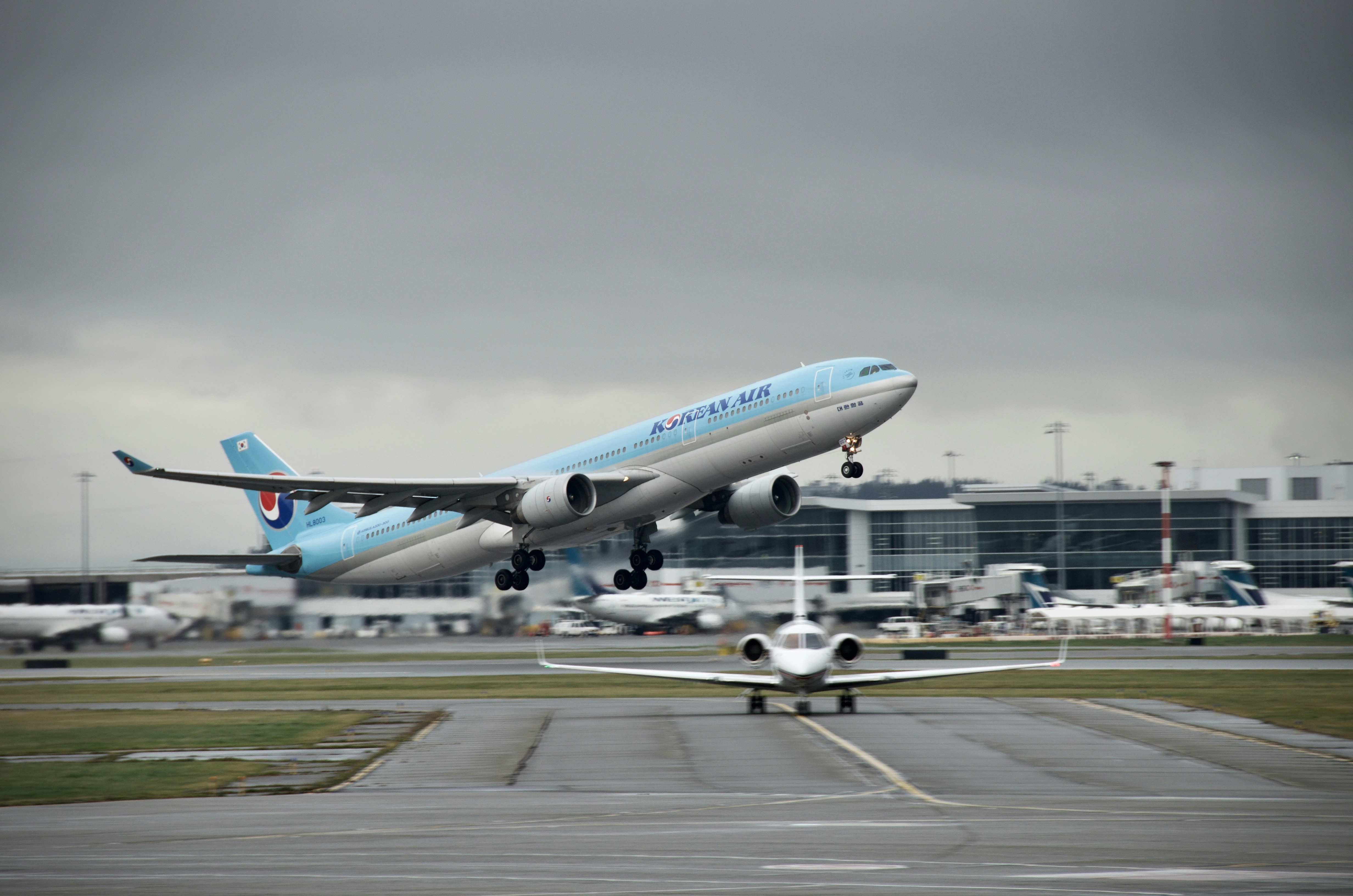 blue and white passenger plane on airport during daytime